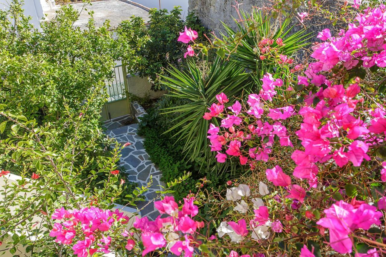 Villa Vienna Kato Viannos Εξωτερικό φωτογραφία