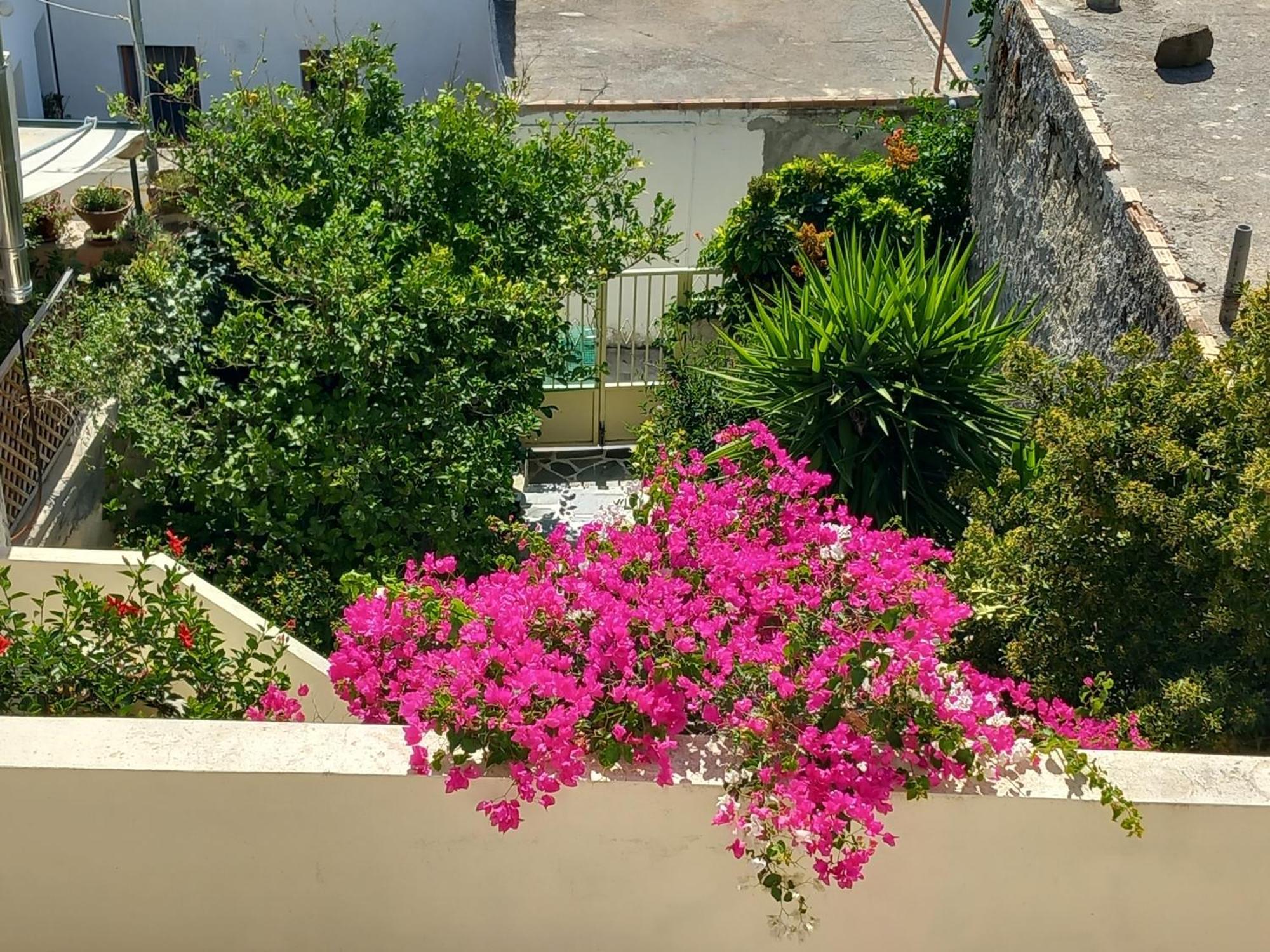 Villa Vienna Kato Viannos Εξωτερικό φωτογραφία