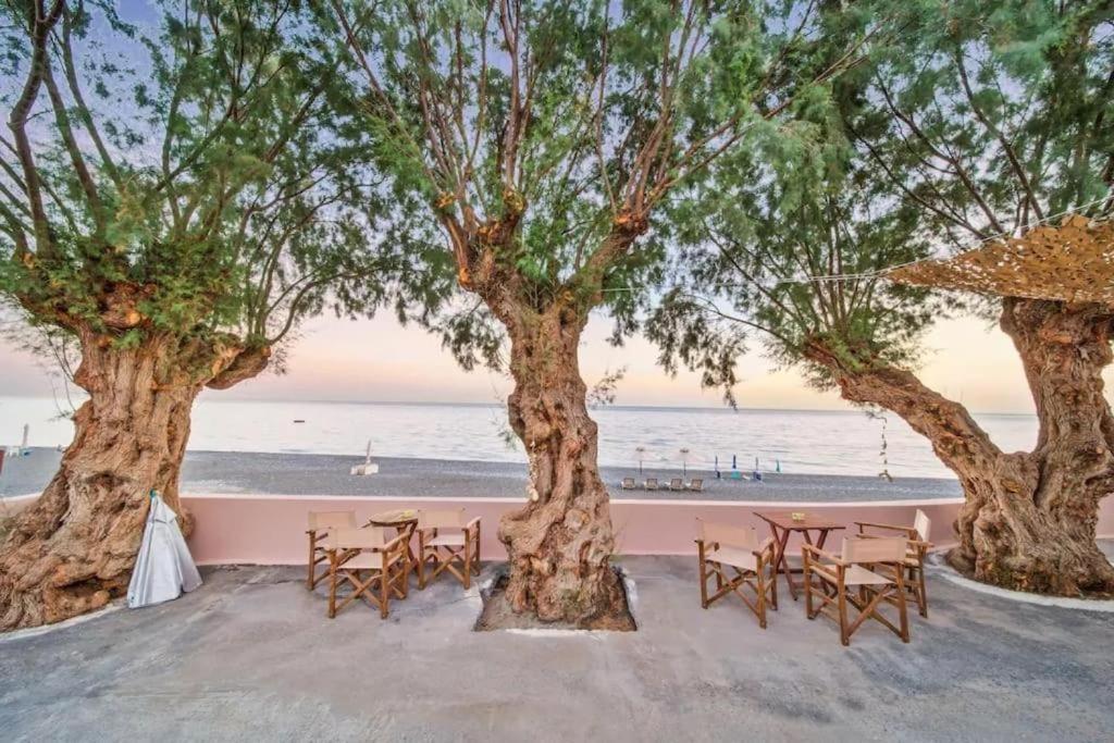 Villa Vienna Kato Viannos Εξωτερικό φωτογραφία